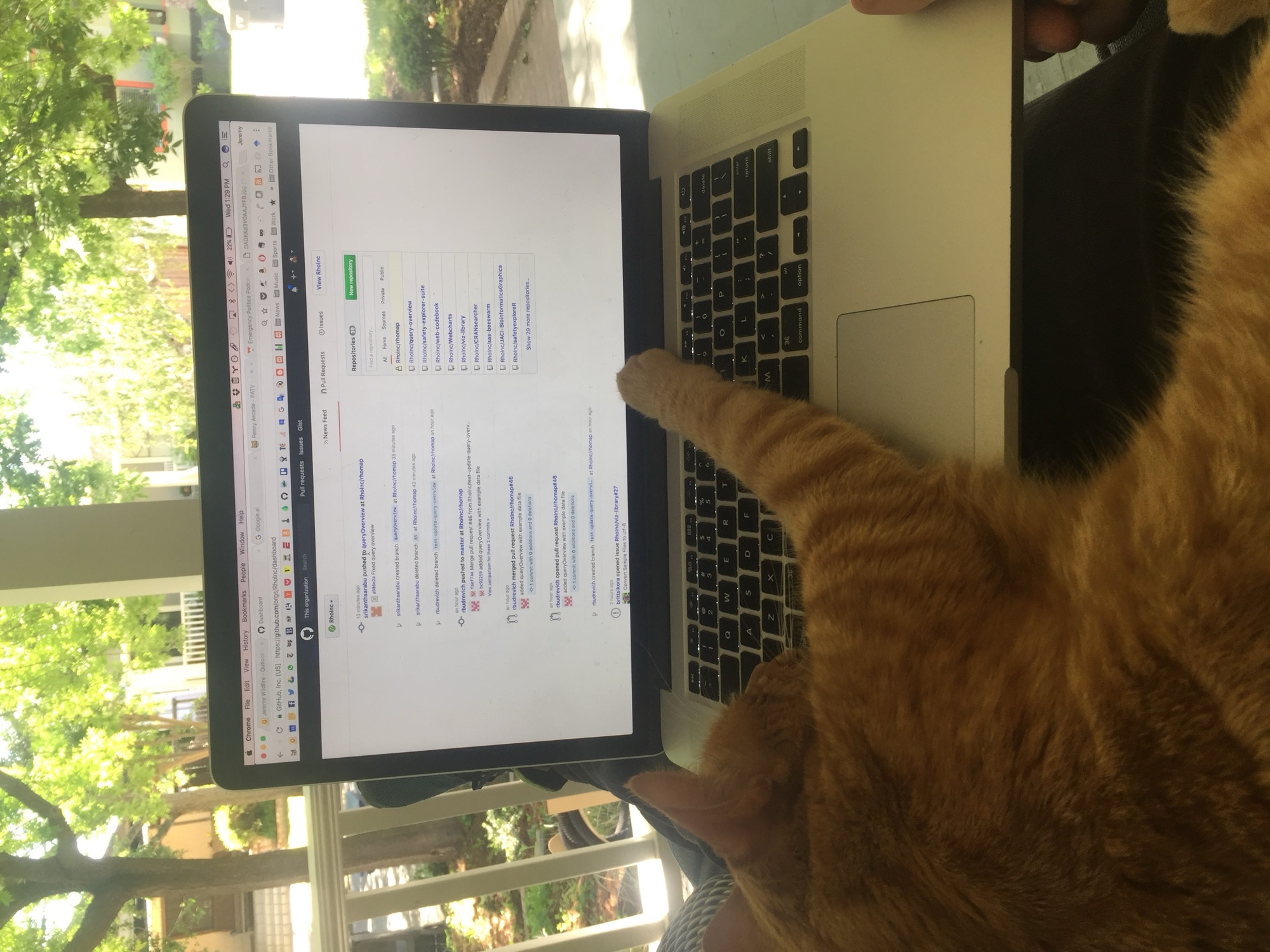 Orange, seen from behind on Jeremy's lap, with one paw stretched onto the keyboard of a laptop showing GitHub