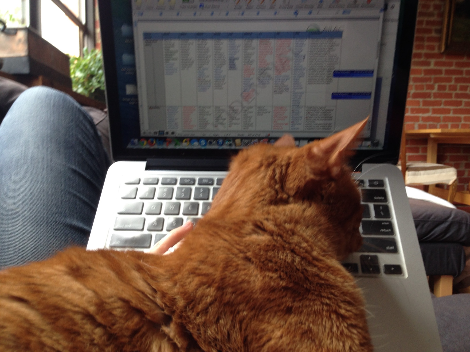 Orange, seen from behind, watching a colour-coded spreadsheet on a laptop