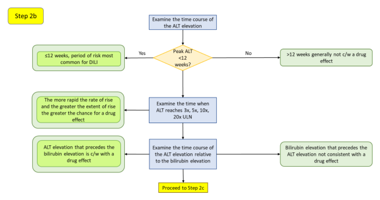 Step 2b decision diagram: whether peak ALT occurs within 12 weeks, the rate of rise across 3×/5×/10×/20× ULN, and the ALT timing relative to bilirubin.