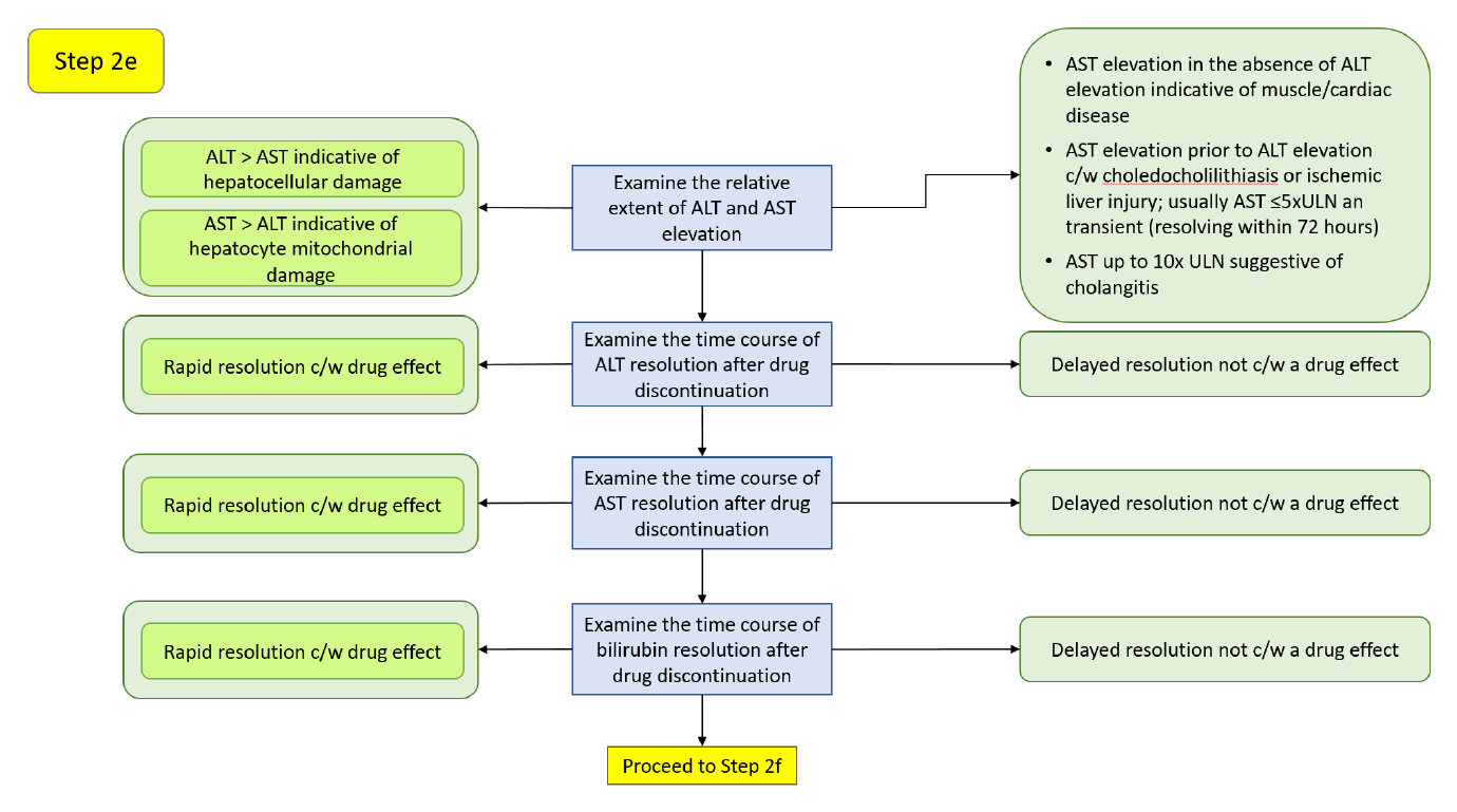 Step 2e decision diagram: the relative extent of ALT and AST elevation and the time course of resolution after drug discontinuation.