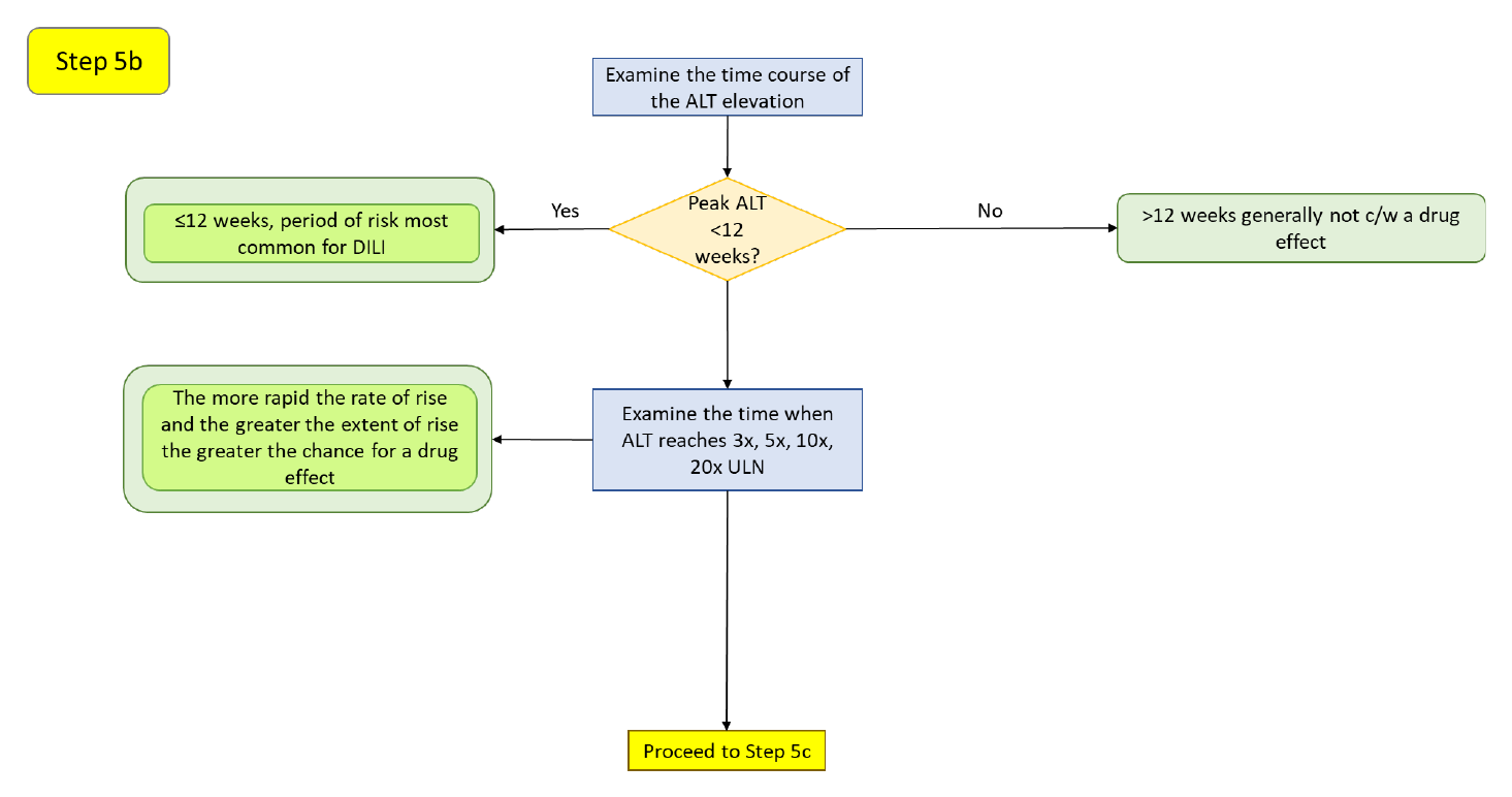 Step 5b decision diagram: whether peak ALT occurs within 12 weeks and its rate of rise across the ULN multiples.