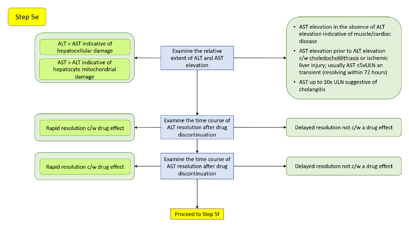 Step 5e decision diagram: the relative extent of ALT and AST elevation and the time course of resolution after drug discontinuation.