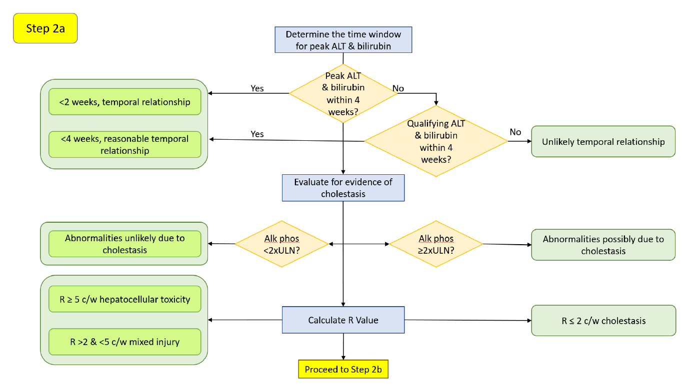 Step 2a decision diagram: whether peak ALT and bilirubin fall within 2–4 weeks, then the alkaline-phosphatase cholestasis screen and the R-Ratio.