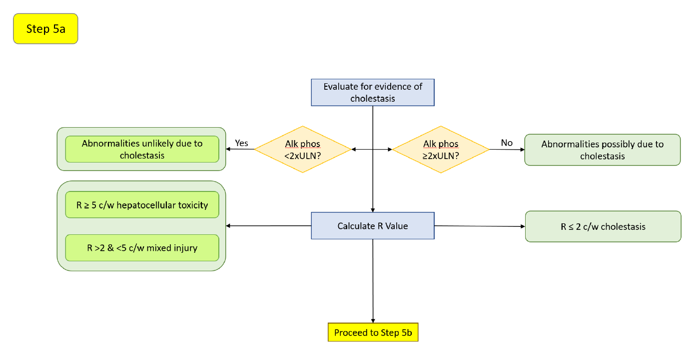 Step 5a decision diagram: the alkaline-phosphatase cholestasis screen and the R-Ratio for a Temple's Corollary case.